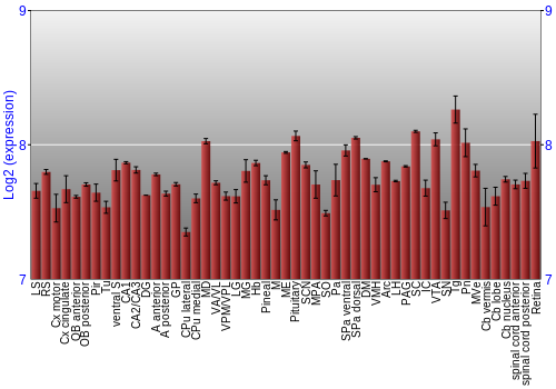 Expression graph