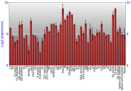Expression graph