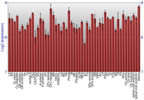 Expression graph