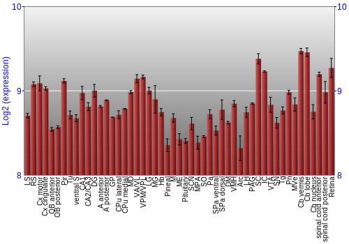 Expression graph