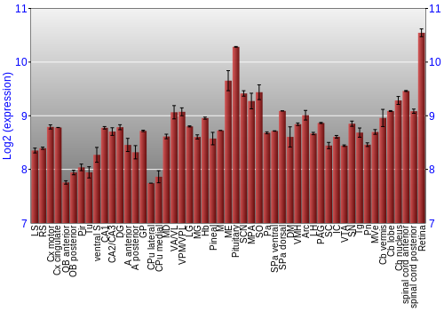 Expression graph