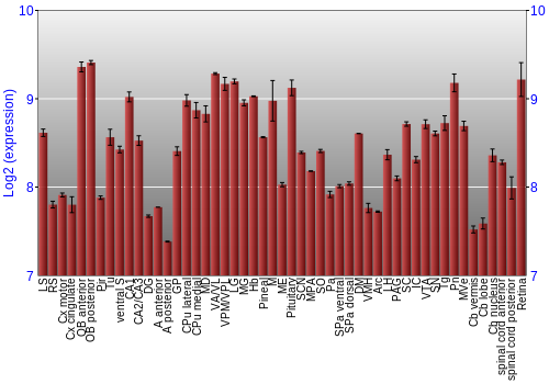 Expression graph