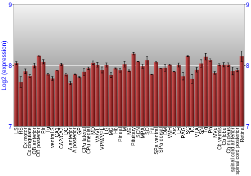 Expression graph