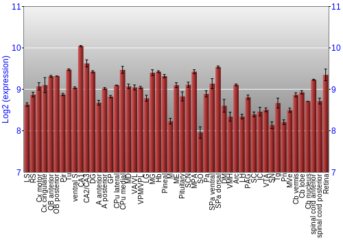 Expression graph