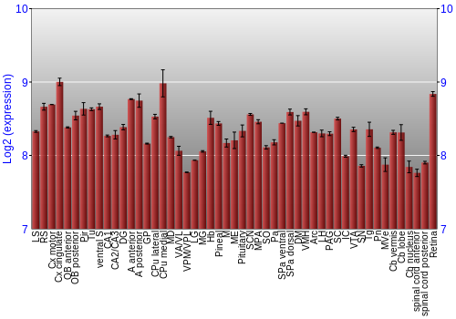 Expression graph
