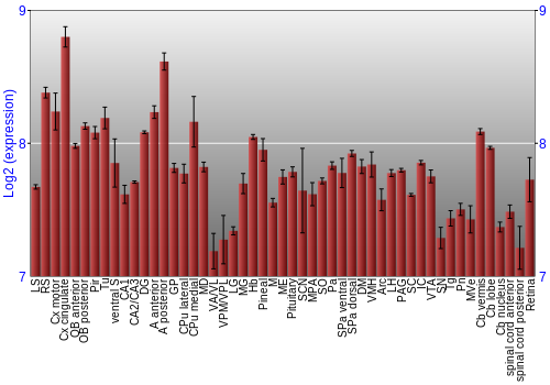 Expression graph
