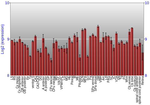 Expression graph