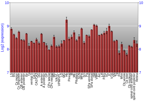 Expression graph