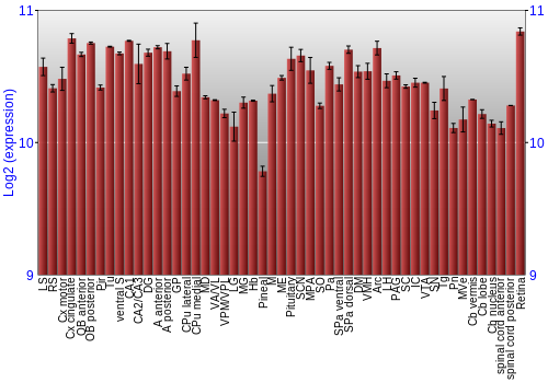Expression graph