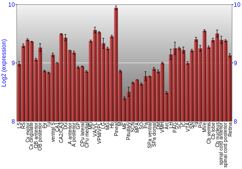 Expression graph