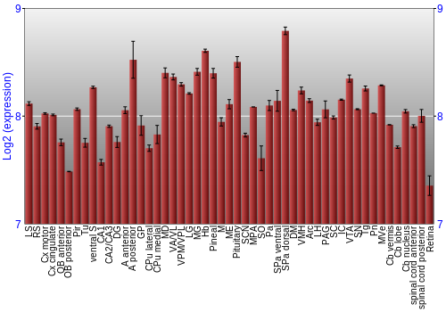 Expression graph