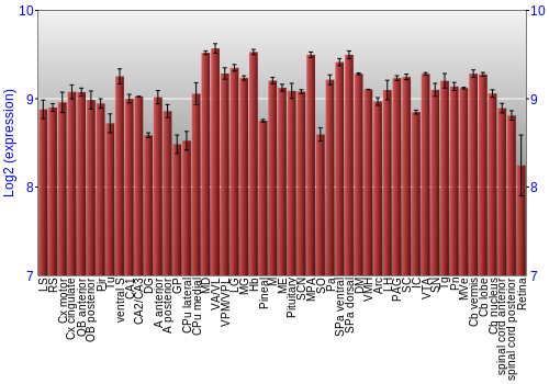 Expression graph
