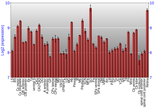 Expression graph