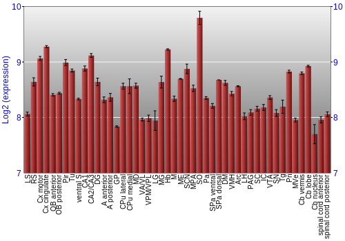 Multi-state expression graph
