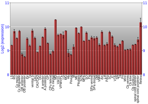 Expression graph