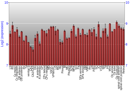 Expression graph
