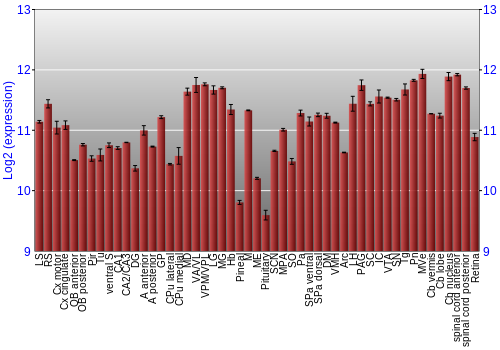 Expression graph