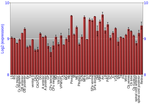 Expression graph