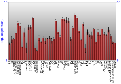 Expression graph
