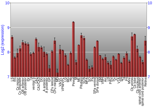 Expression graph