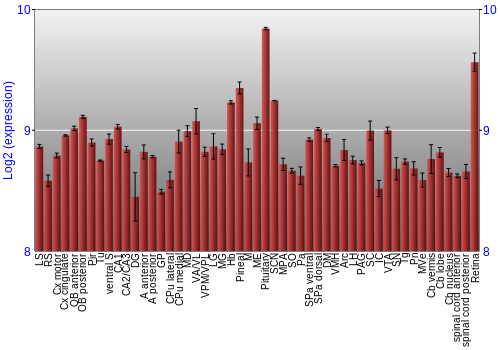 Expression graph