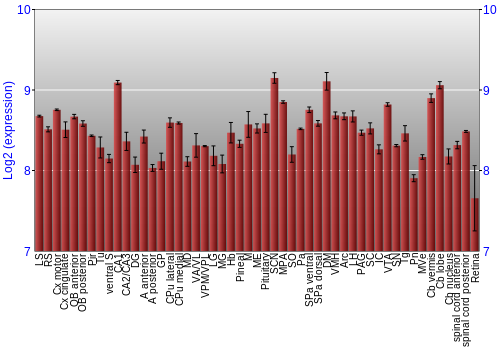 Expression graph