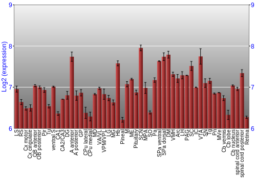 Expression graph