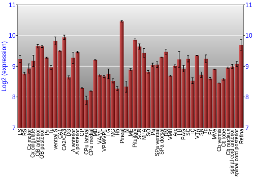 Expression graph