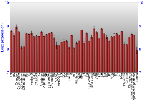 Expression graph