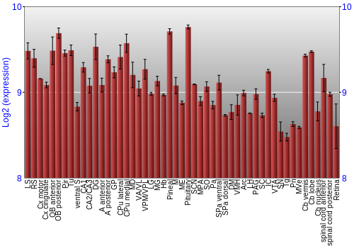 Expression graph