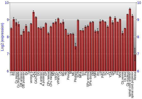 Expression graph