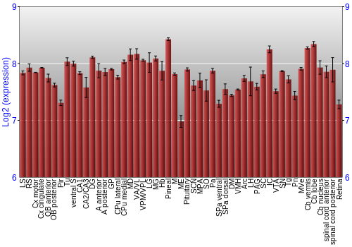 Expression graph