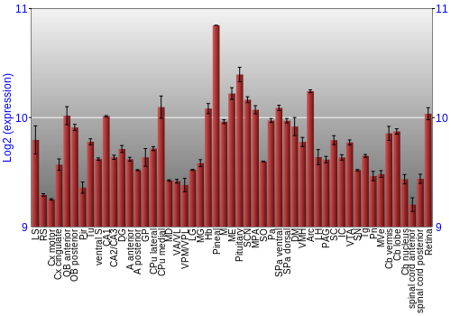 Expression graph