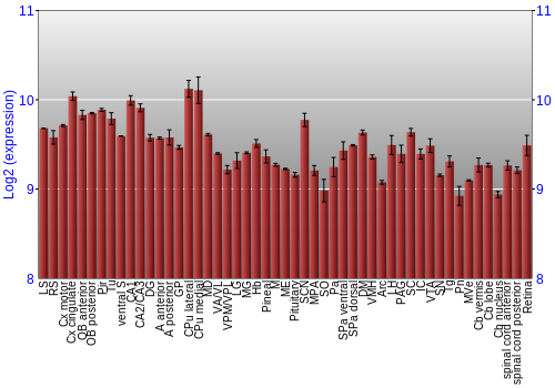Expression graph