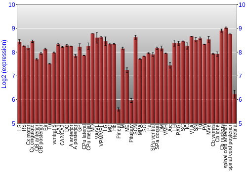 Expression graph