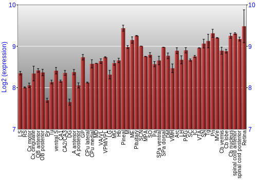 Expression graph