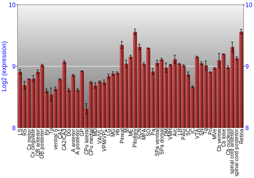 Expression graph