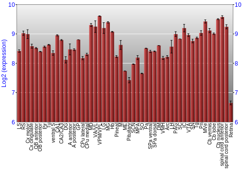 Expression graph