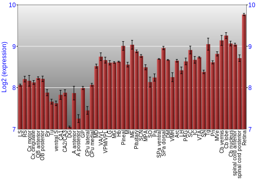 Expression graph
