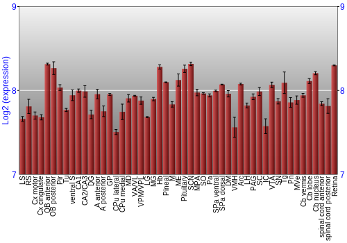 Expression graph