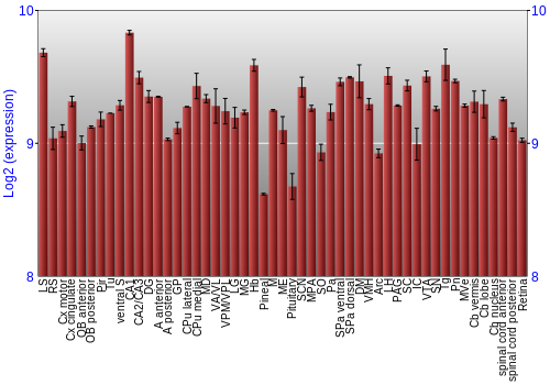 Expression graph