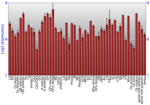 Expression graph