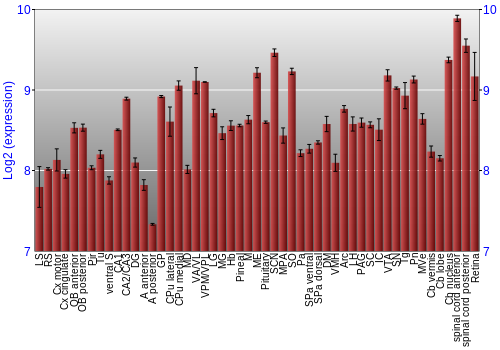 Expression graph