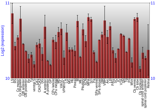 Expression graph