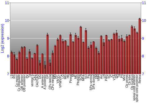 Expression graph