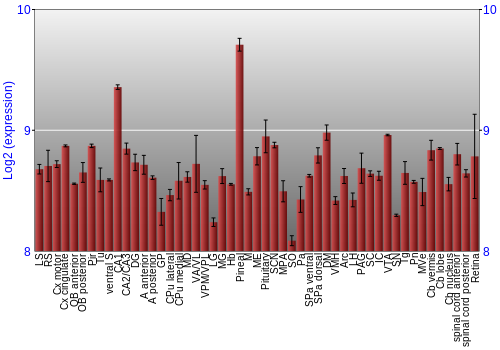 Expression graph