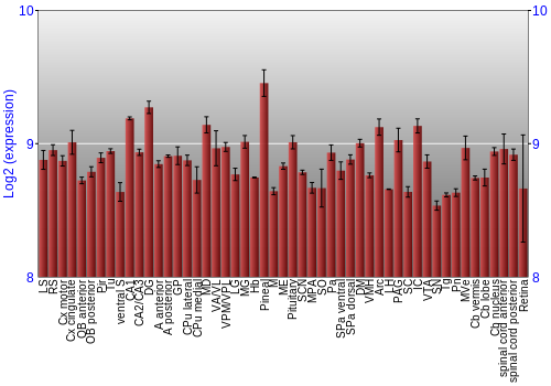 Expression graph