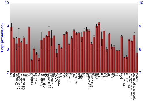 Expression graph