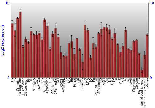 Expression graph