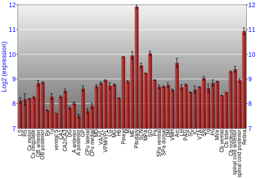 Expression graph